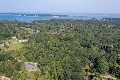 Coveted building lot on Great Diamond Island. Quiet, private - photo 5