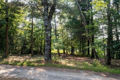 Coveted building lot on Great Diamond Island. Quiet, private - photo 7