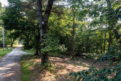 Coveted building lot on Great Diamond Island. Quiet, private - photo 8