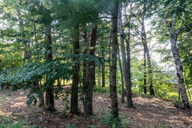Coveted building lot on Great Diamond Island. Quiet, private - photo 9
