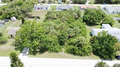 Vacant lot in a well established community with power 80X125 - photo 2