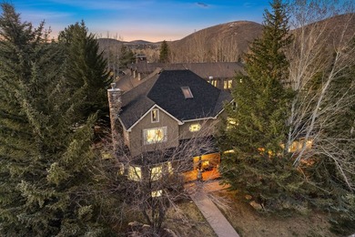 Own A Corner Of Prospector In Central Park City With 2 Homes & 1 - photo 5