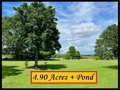 NEW PRICE IMPROVEMENT! Looking for a spacious single-level home - photo 3