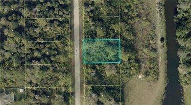 Lehigh Acres Area Lot For Sale in Lehigh Acres Florida