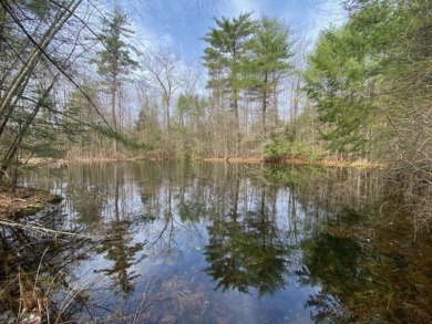 (private lake, pond, creek) Acreage For Sale in Petersham Massachusetts
