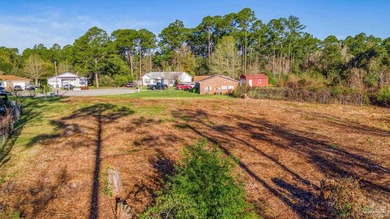 PEACEFUL & Backs to Nature. .Build your Dream Home in Havburg - photo 3