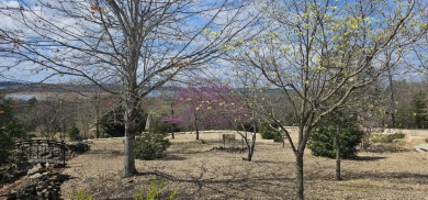 Lakefront Luxury Home on Bull Shoals Lake - photo 20