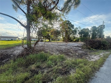 Lehigh Acres Area Lot For Sale in Lehigh Acres Florida