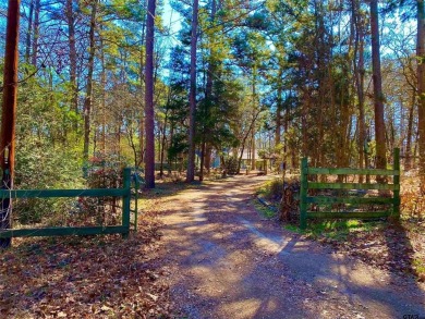 Lake Home For Sale in Winnsboro, Texas
