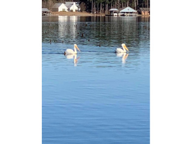 FIVE ACRES waterfront acreage in  gated Lake Eddins! - photo 27