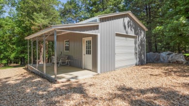 Lakefront Luxury Home on Bull Shoals Lake - photo 15