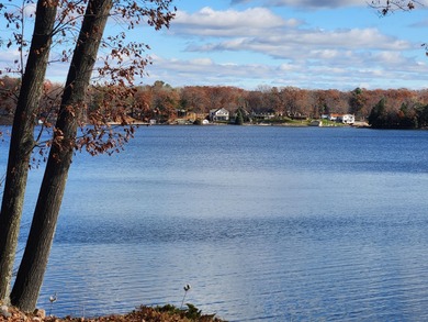 Lake Lot For Sale in Stanwood, Michigan