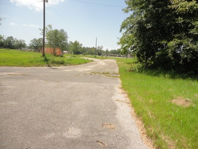 13.14 +/- acres located on Highway 90 has a bulk head on the - photo 11