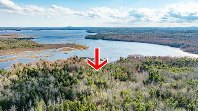 Embrace the quintessential Maine lifestyle with this stunning 3 - photo 1