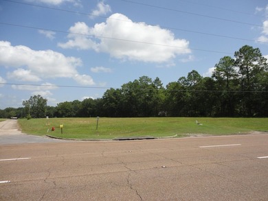 13.14 +/- acres located on Highway 90 has a bulk head on the - photo 12