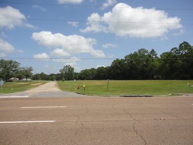 13.14 +/- acres located on Highway 90 has a bulk head on the - photo 13