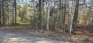 Embrace the quintessential Maine lifestyle with this stunning 3 - photo 3