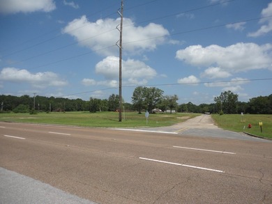 13.14 +/- acres located on Highway 90 has a bulk head on the - photo 14
