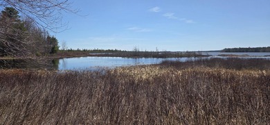 Embrace the quintessential Maine lifestyle with this stunning 3 - photo 4