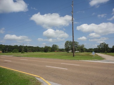 13.14 +/- acres located on Highway 90 has a bulk head on the - photo 15