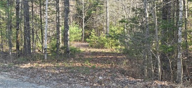 Embrace the quintessential Maine lifestyle with this stunning 3 - photo 8