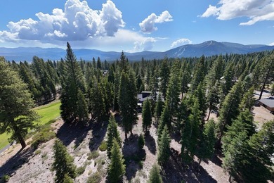 Positioned in one of Schaffer's Mill's most coveted estate - photo 9