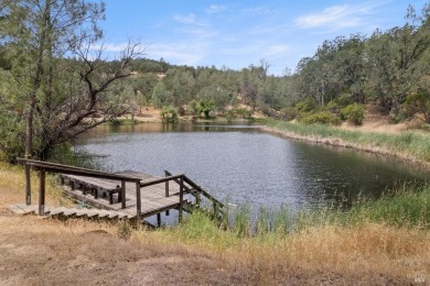Lake Home For Sale in Lower Lake, California