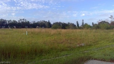 Lehigh Acres Area Lot For Sale in Lehigh Acres Florida
