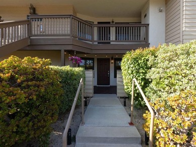 Recently updated first floor unit in Del Mar Villas condominium - photo 28