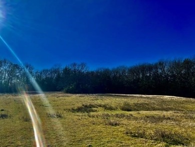 DO NOT MISS OUT ON this beautiful 10 acre property to call your - photo 3