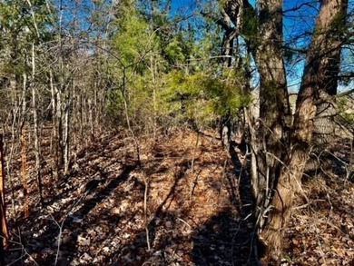 DO NOT MISS OUT ON this beautiful 10 acre property to call your - photo 8