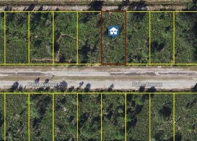 Lake Weohyakapka Lot Sale Pending in Indian Lake Estates Florida