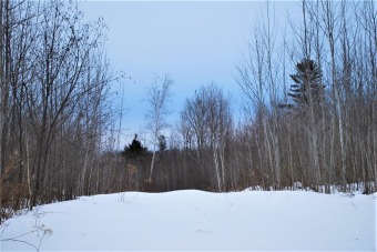  Acreage For Sale in Winter Wisconsin