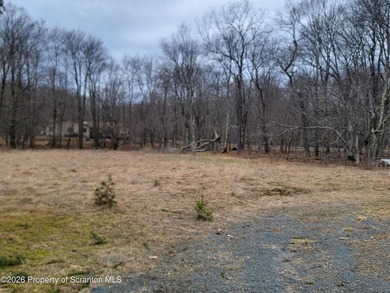 Larsen Lake Lot For Sale in Clifton Twp Pennsylvania
