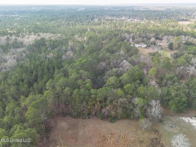 Beautiful Wooded Property available to tour by Appointment - photo 11