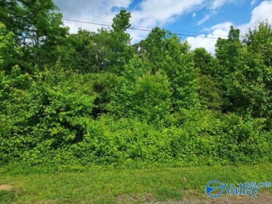 Lake Lot For Sale in Langston, Alabama