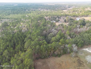 Beautiful Wooded Property available to tour by Appointment - photo 12