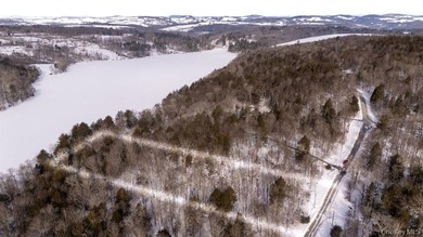 5 acre lot ready for building. Kenoza Lake Estates is a private - photo 2