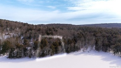 5 acre lot ready for building. Kenoza Lake Estates is a private - photo 5