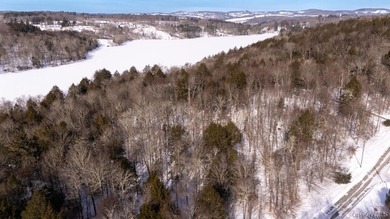 5 acre lot ready for building. Kenoza Lake Estates is a private - photo 6