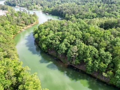 SMITH LAKE/SIPSEY FORK - Welcome to Shoreside at Sipsey. A - photo 4