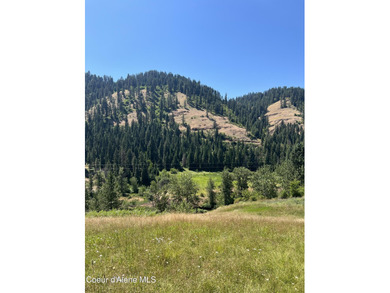 (private lake, pond, creek) Acreage For Sale in Kooskia Idaho