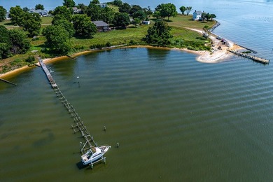 Stunning brick home built on 2 waterfront lots, in a premier - photo 60