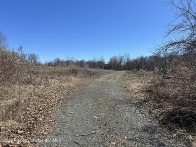 Great opportunity to own Over 20+ acres with a lake in Abington - photo 2