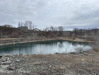 Great opportunity to own Over 20+ acres with a lake in Abington - photo 4