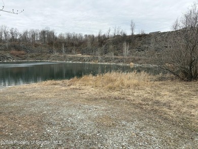 Great opportunity to own Over 20+ acres with a lake in Abington - photo 7