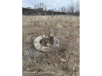 Great opportunity to own Over 20+ acres with a lake in Abington - photo 9