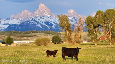 Rolling hills, lush pastures, and pristine riparian corridors - photo 2