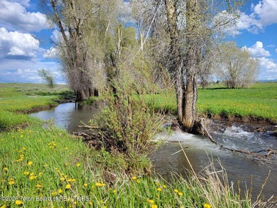 Rolling hills, lush pastures, and pristine riparian corridors - photo 9