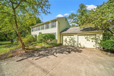 Grand River  Home For Sale in Concord Ohio